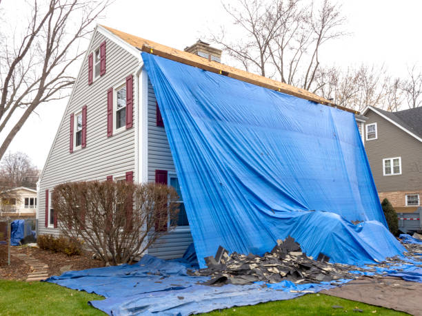 Best Engineered Wood Siding  in Rushville, NE